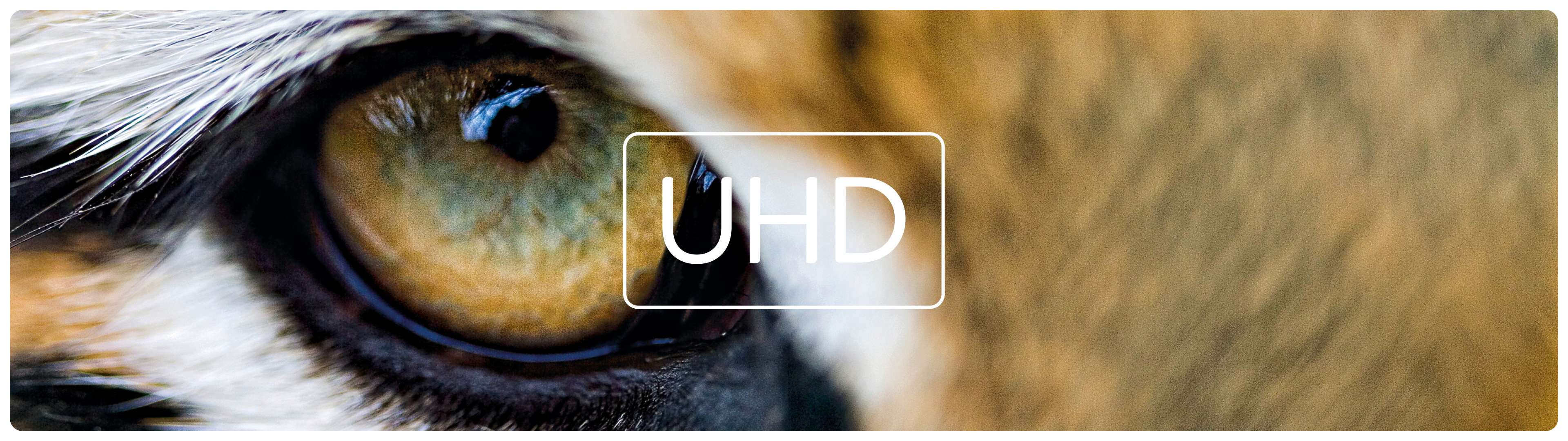 Ultra HD