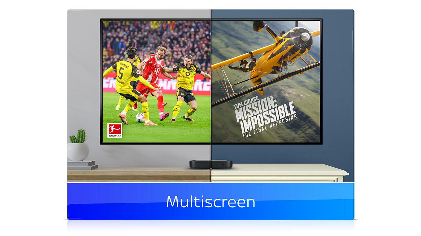 Sky Multiscreen